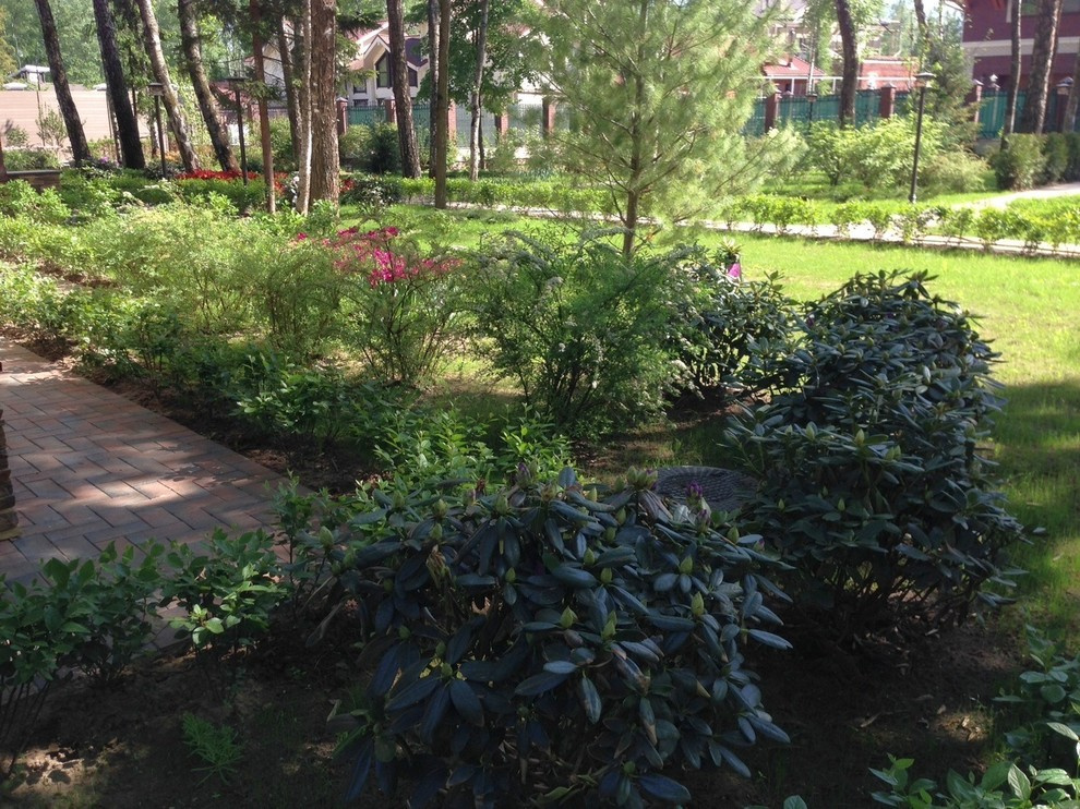 "Антоновка", 45 соток