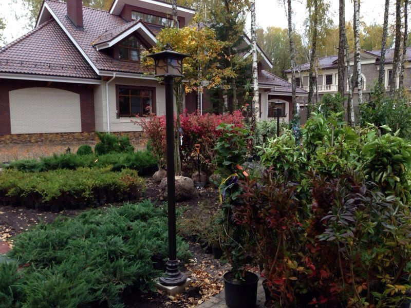 "Антоновка", 45 соток