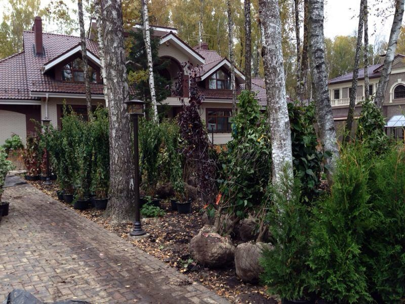 "Антоновка", 45 соток