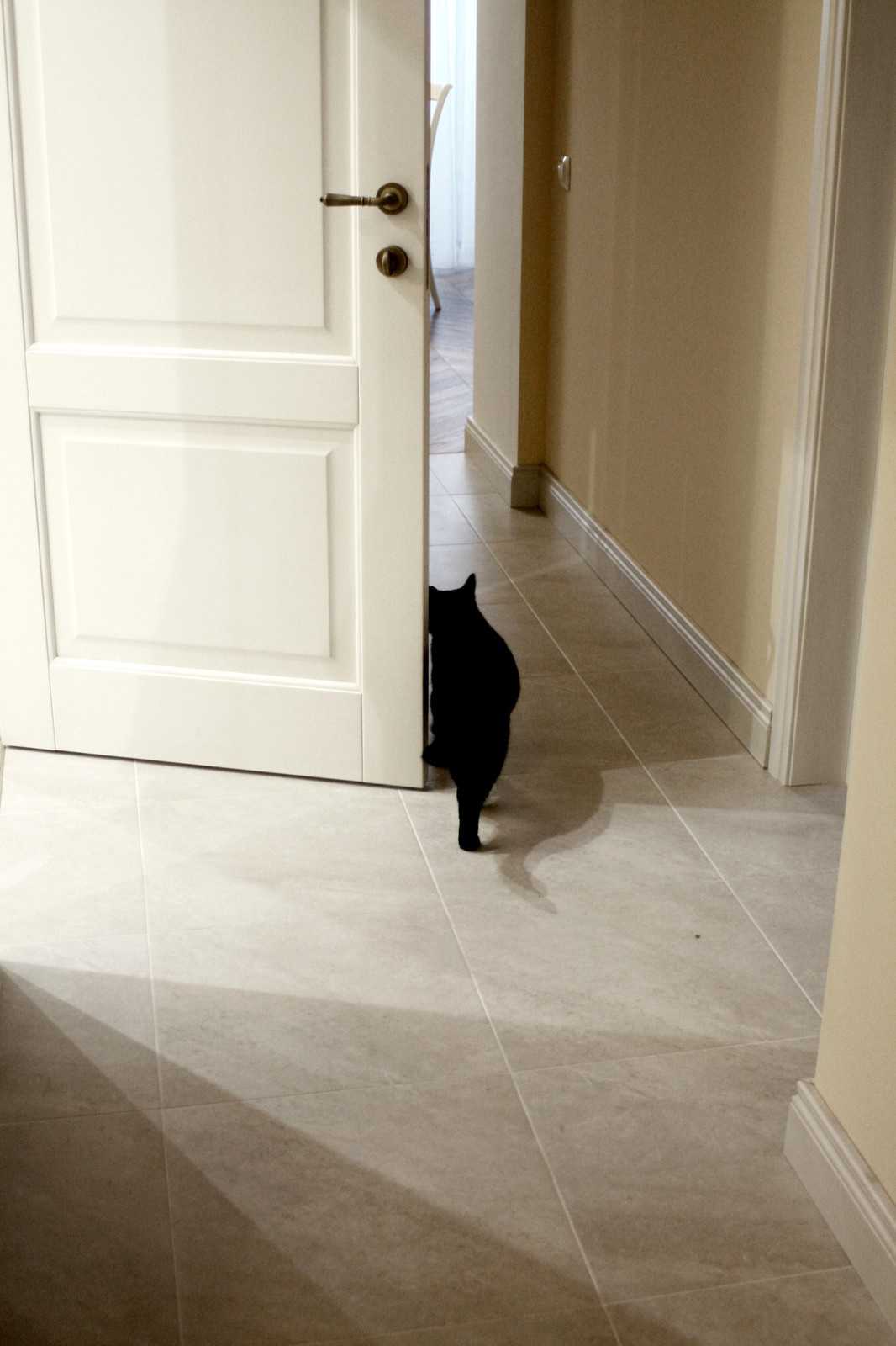 Дизайн - проект 3-х  комнатной квартиры