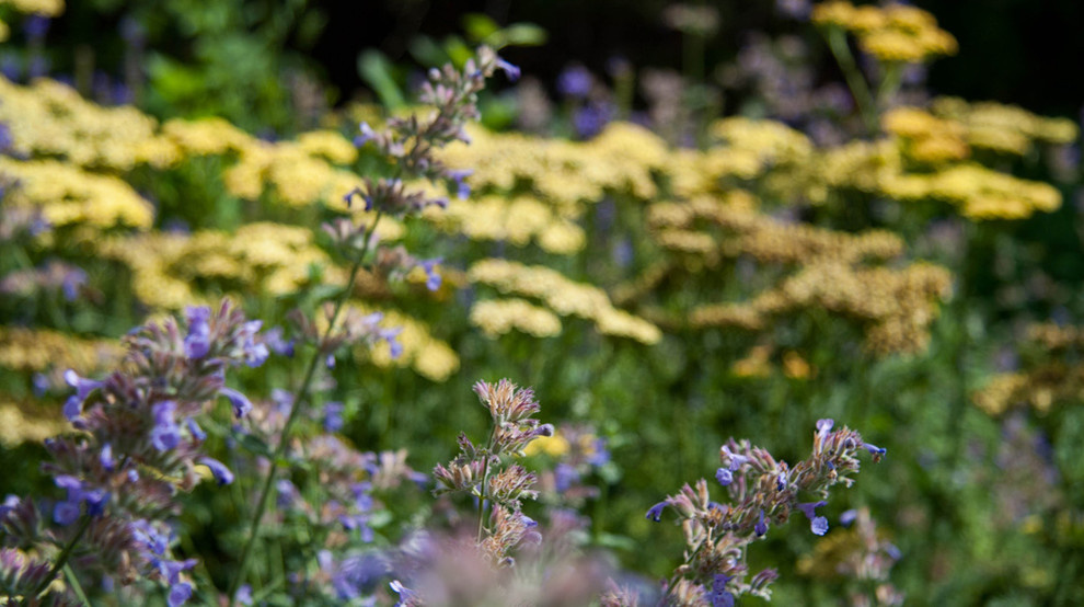 Оттенки синего