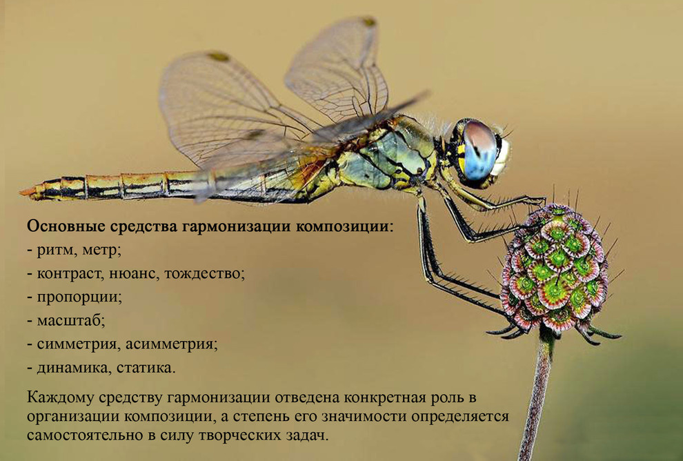 Преображение пространства