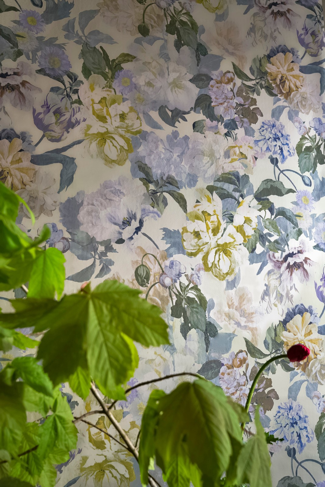 Tulipa Stellata от Designers Guild 2017