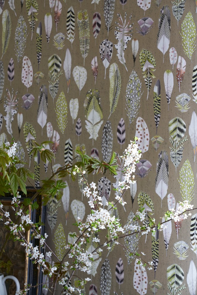 Tulipa Stellata от Designers Guild 2017
