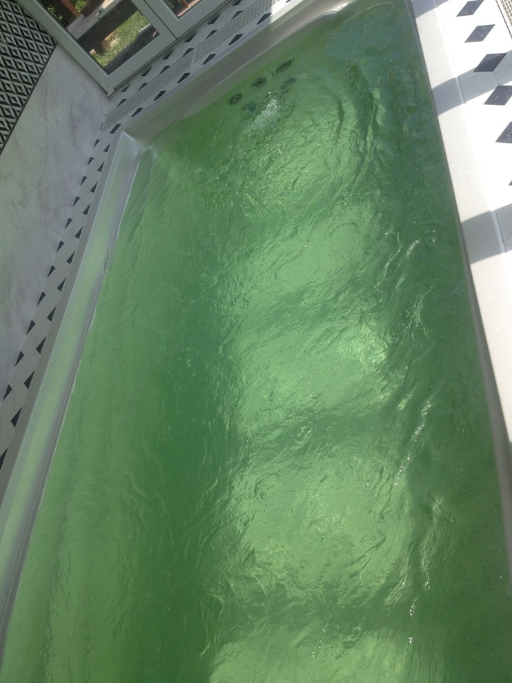 02 Плавательные Спа бассейны с противотоком