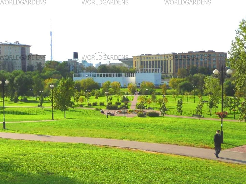 Ростокино