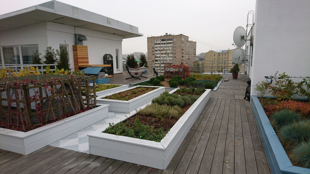 Зеленые кровли. Green roof