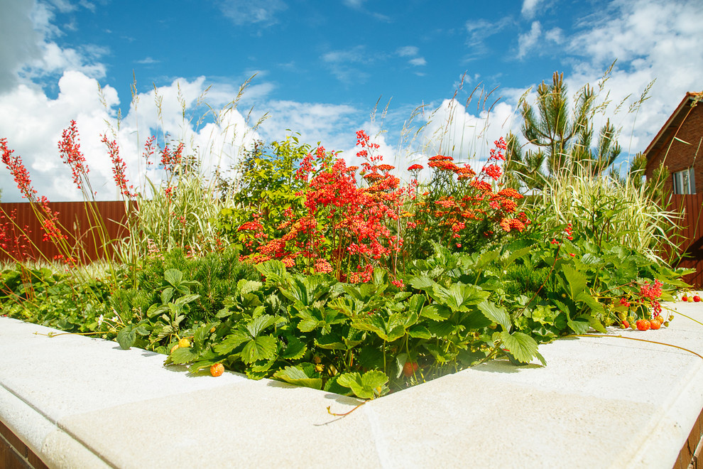 Времена года в саду "Красный октябрь"