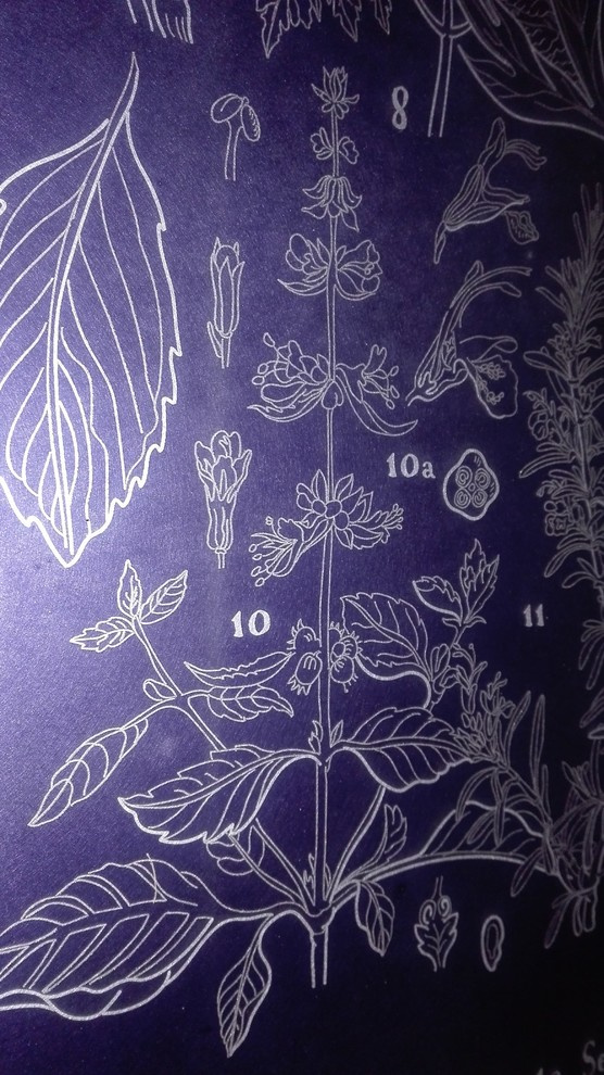 элементы теплицы по рисункам Юлии Федоровой для проекта компании СпецПаркДизайн