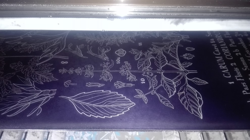 элементы теплицы по рисункам Юлии Федоровой для проекта компании СпецПаркДизайн