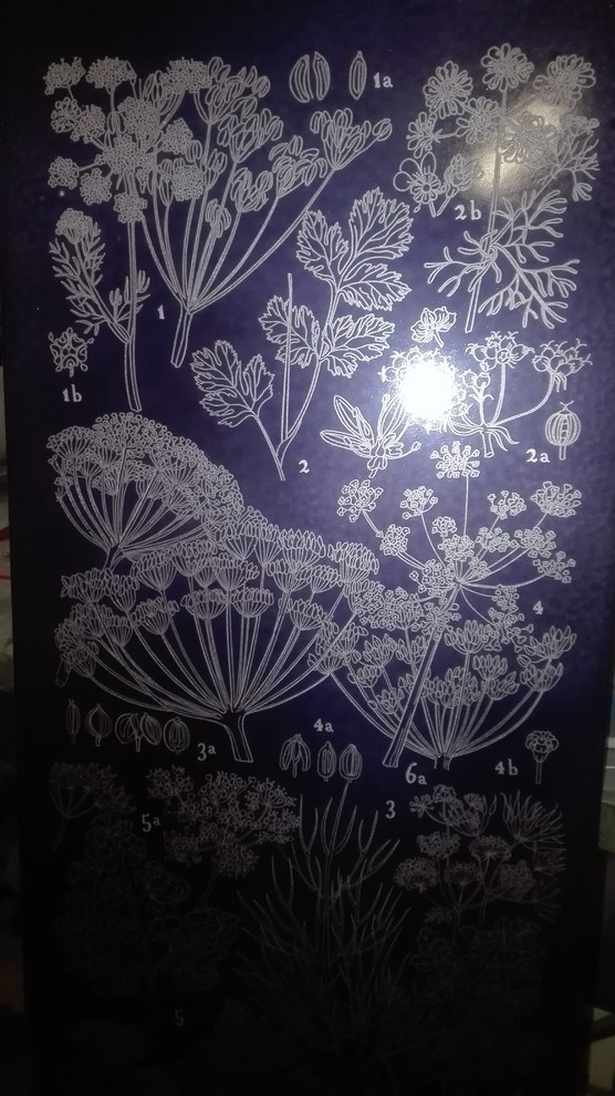 элементы теплицы по рисункам Юлии Федоровой для проекта компании СпецПаркДизайн