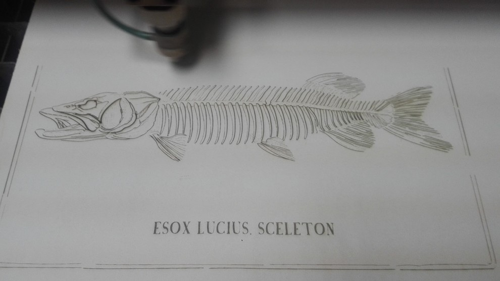 элементы теплицы по рисункам Юлии Федоровой для проекта компании СпецПаркДизайн