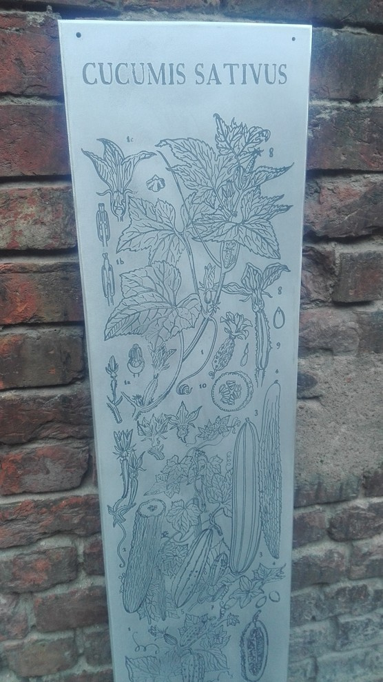 элементы теплицы по рисункам Юлии Федоровой для проекта компании СпецПаркДизайн