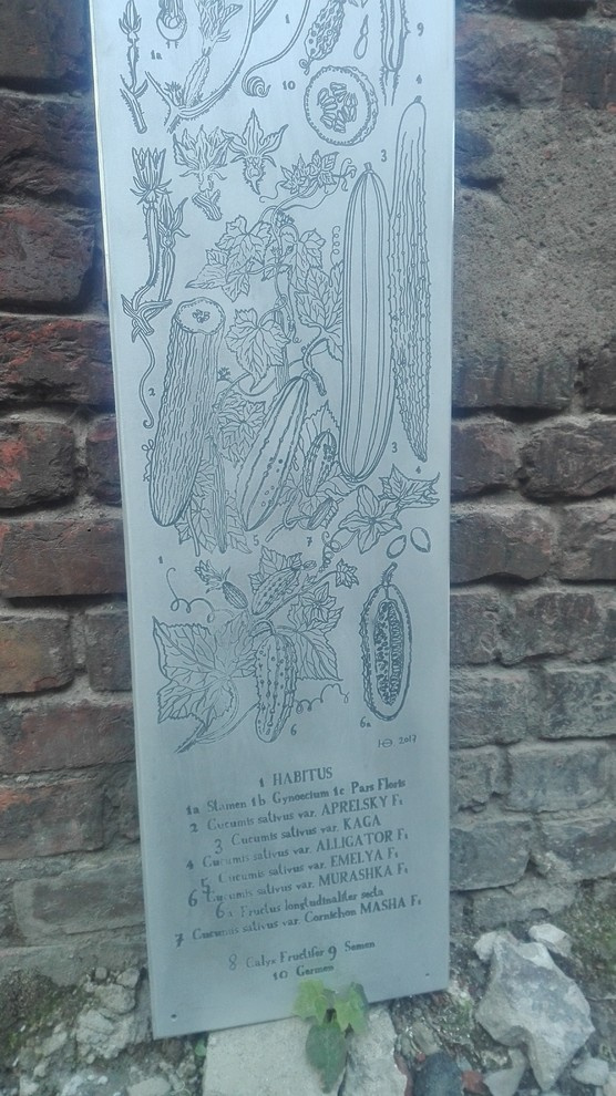 элементы теплицы по рисункам Юлии Федоровой для проекта компании СпецПаркДизайн