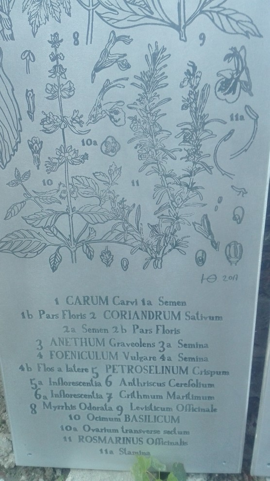 элементы теплицы по рисункам Юлии Федоровой для проекта компании СпецПаркДизайн