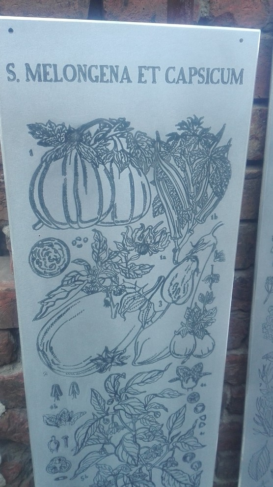 элементы теплицы по рисункам Юлии Федоровой для проекта компании СпецПаркДизайн