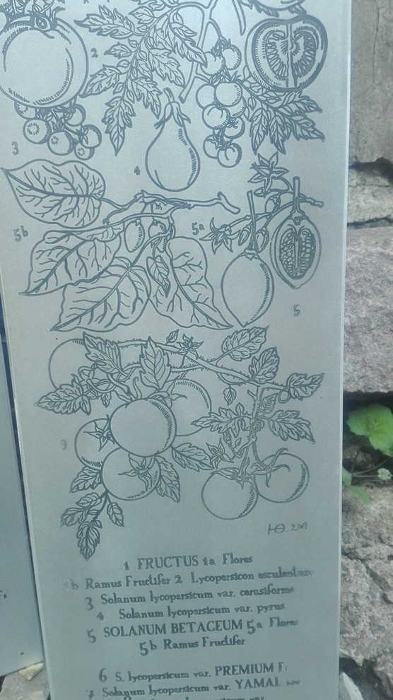 элементы теплицы по рисункам Юлии Федоровой для проекта компании СпецПаркДизайн