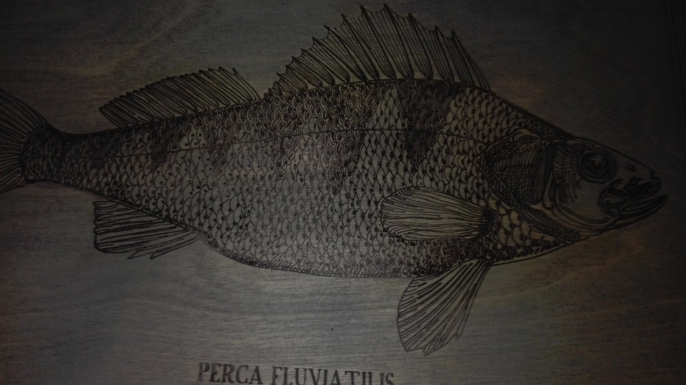 элементы теплицы по рисункам Юлии Федоровой для проекта компании СпецПаркДизайн