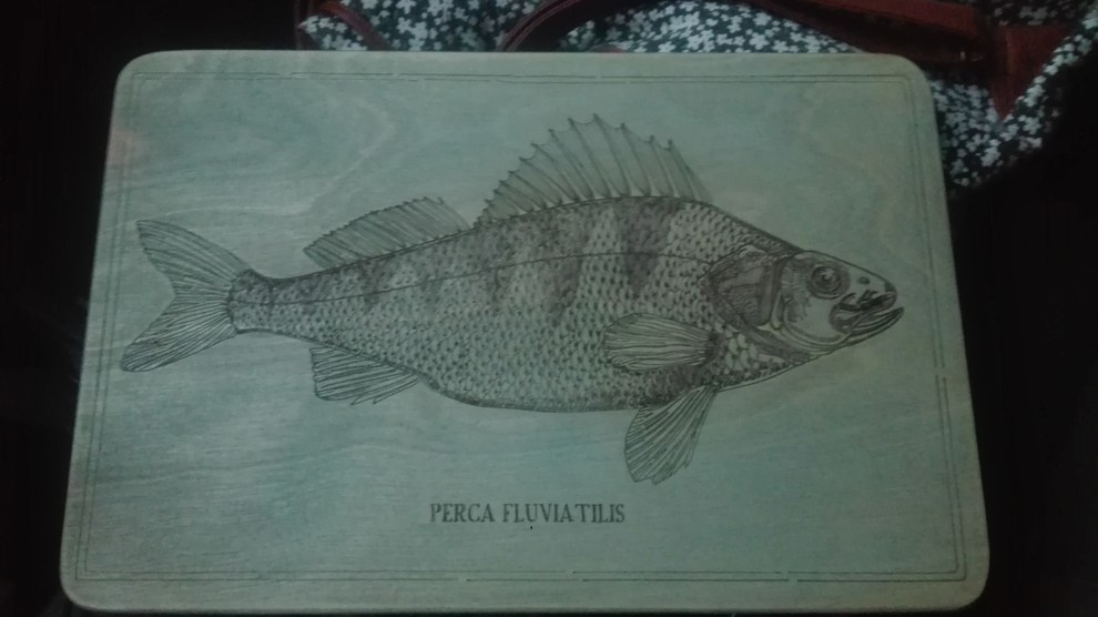 Обложка проекта: элементы  теплицы по рисункам Юлии Федоровой для проекта компании СпецПаркДизайн