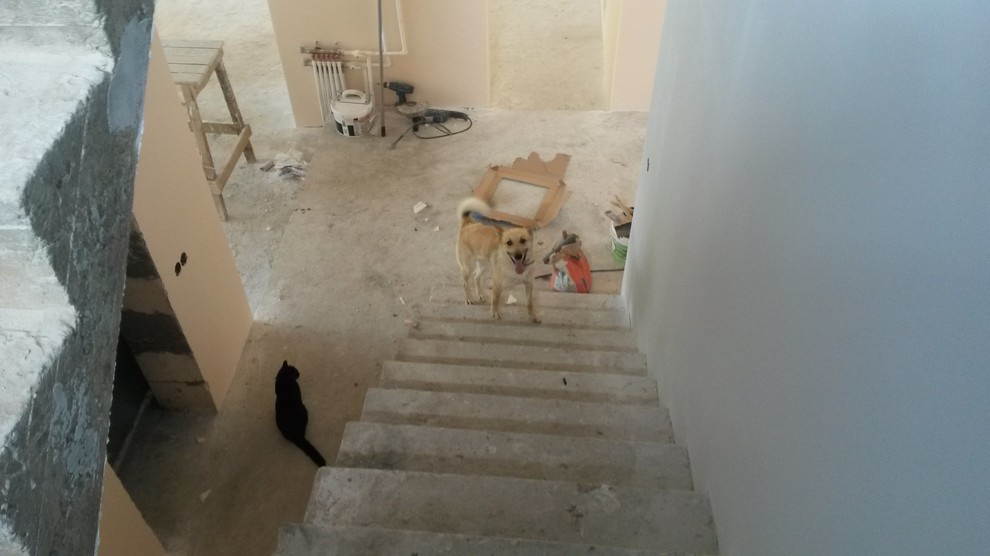 Строительство дома по проекту Вилла Виктория