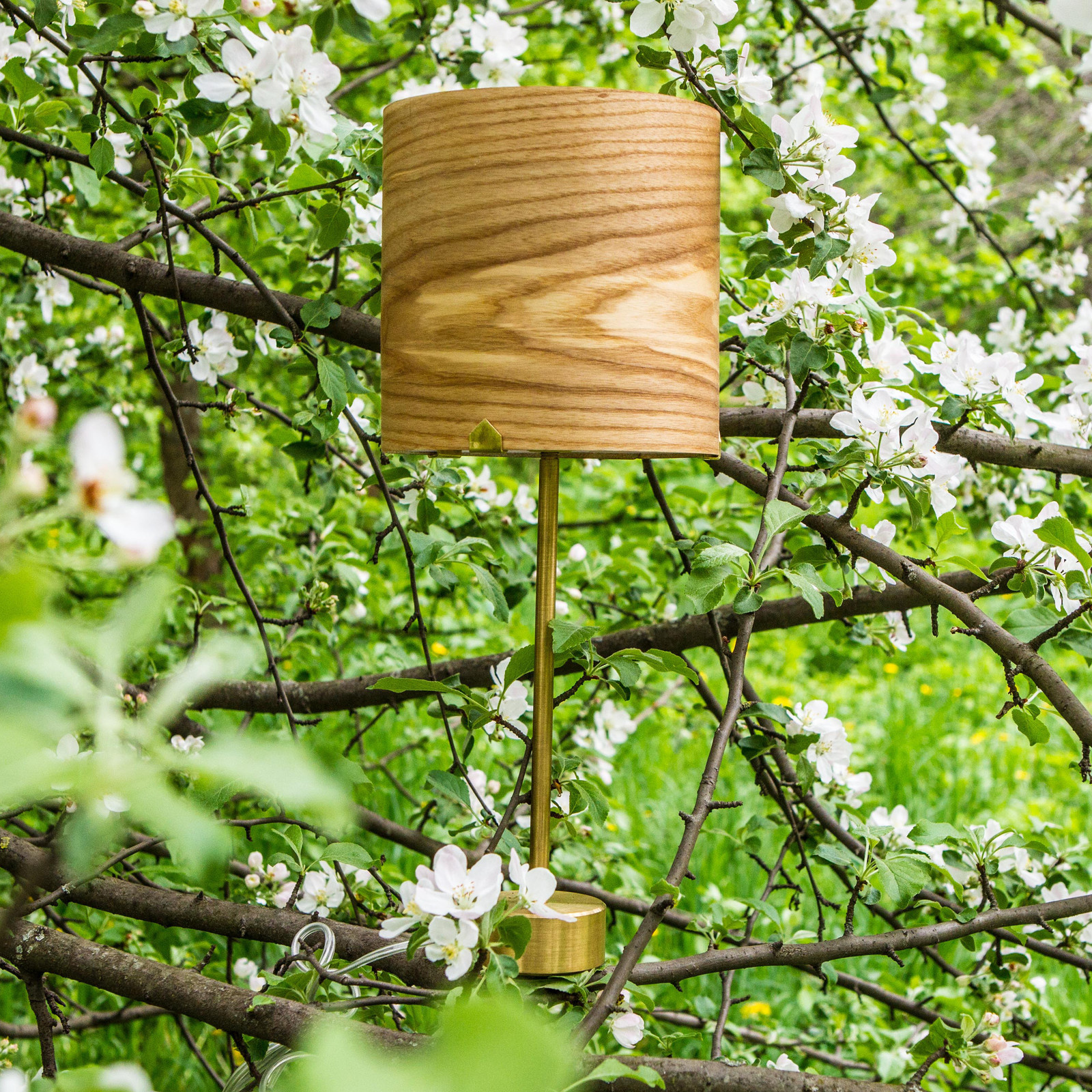 Настольный светильник Юпитер