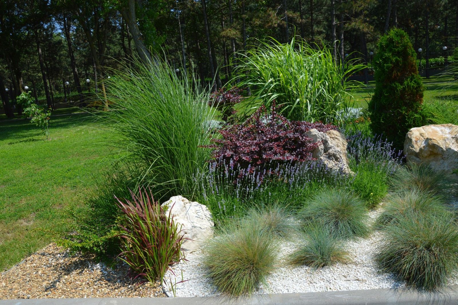 Озеленение территории оздоровительного комплекса