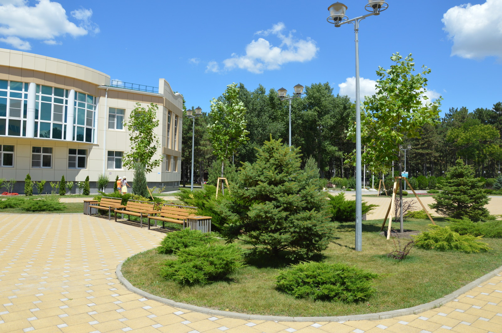 Озеленение территории оздоровительного комплекса