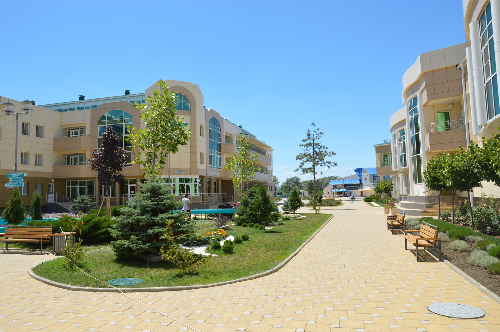 Озеленение территории оздоровительного комплекса