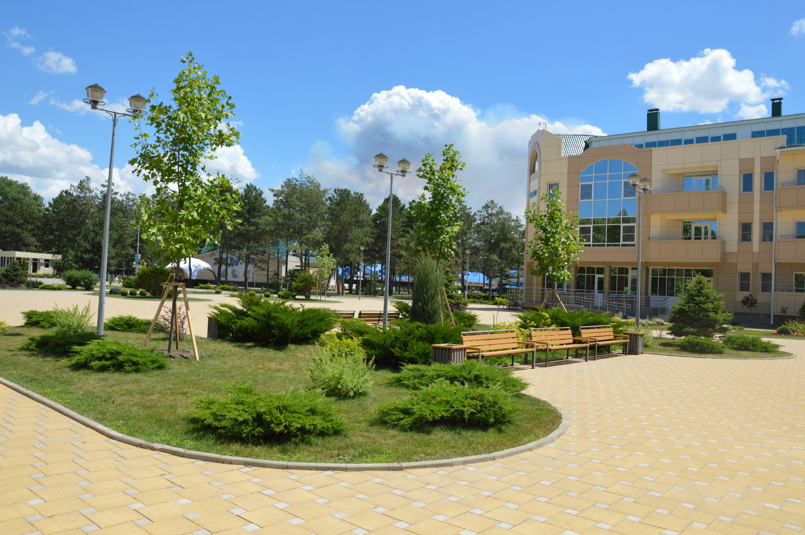 Озеленение территории оздоровительного комплекса