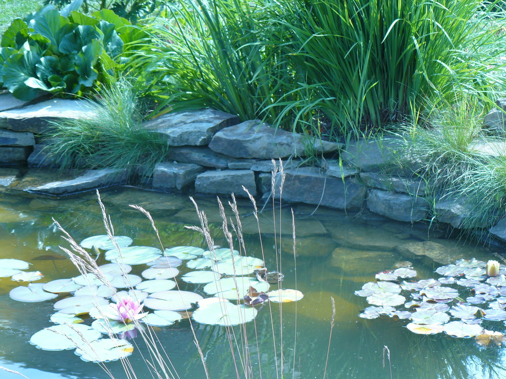 Озеленение, благоустройство, ландшафтный дизайн