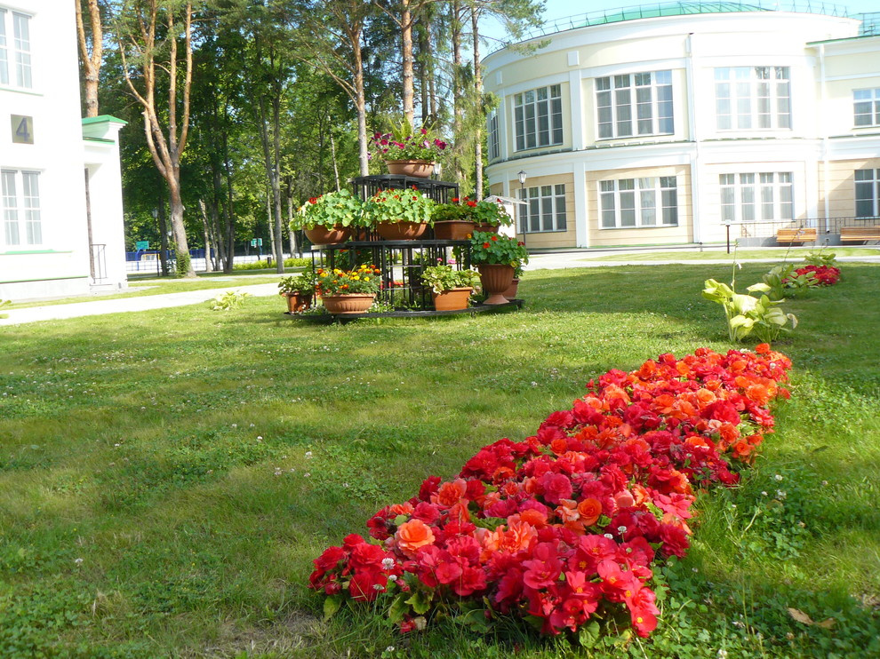 Озеленение, благоустройство, ландшафтный дизайн