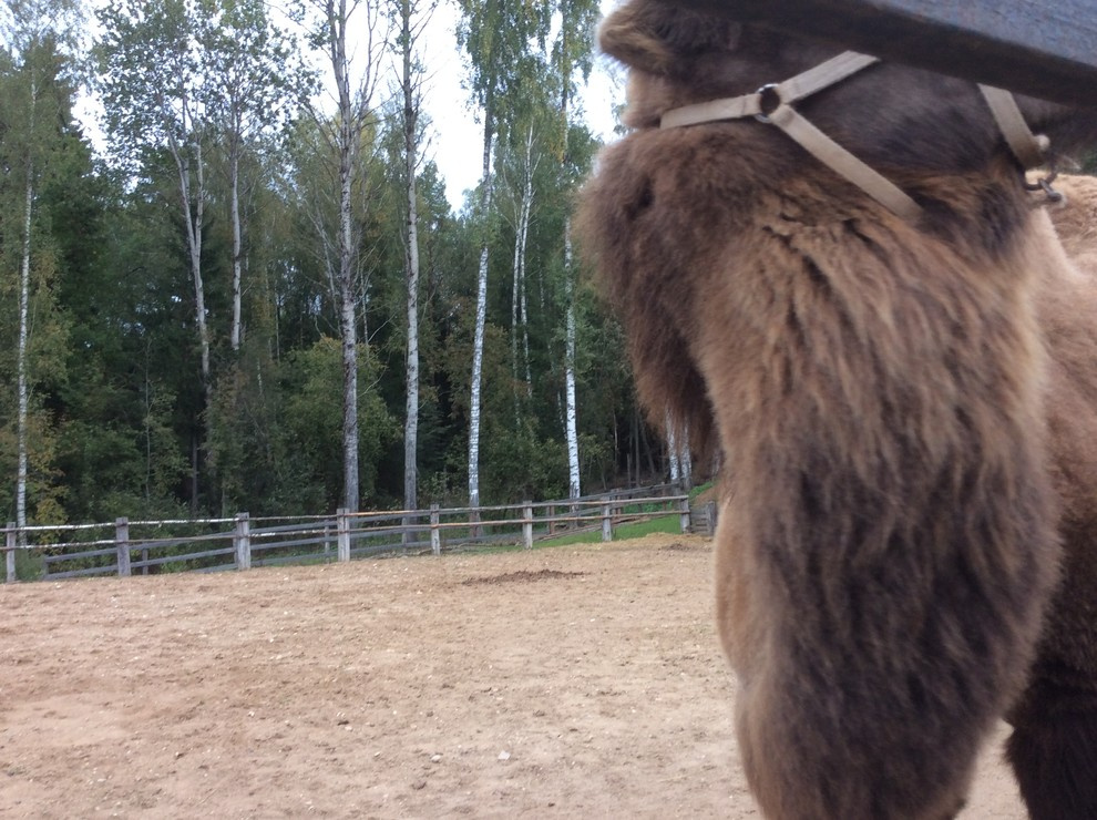 Галина банька