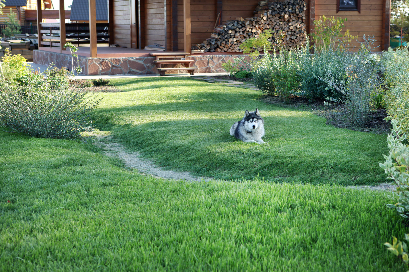 Участок с измененным рельефом