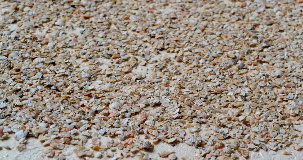 Обложка проекта: SHELF