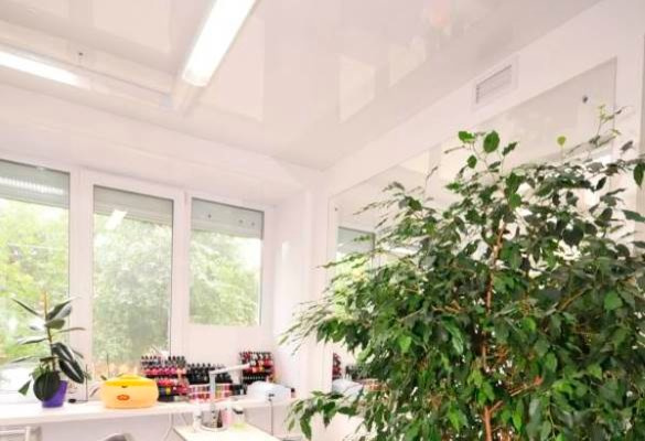 Обложка проекта: Салон красоты