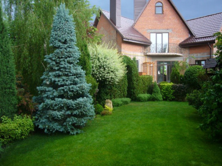 Демонстрационный сад Виола