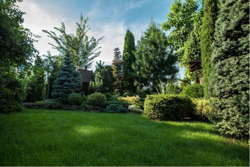 Демонстрационный сад Виола