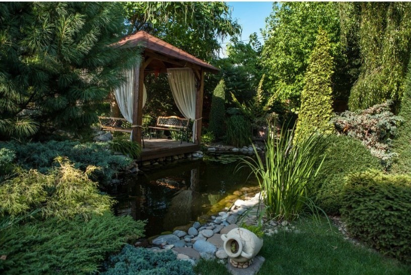 Демонстрационный сад Виола