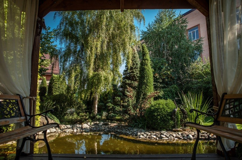 Демонстрационный сад Виола