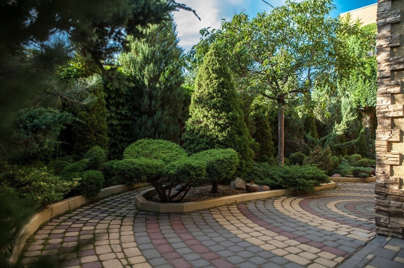 Обложка проекта: Наши проекты и их воплощение