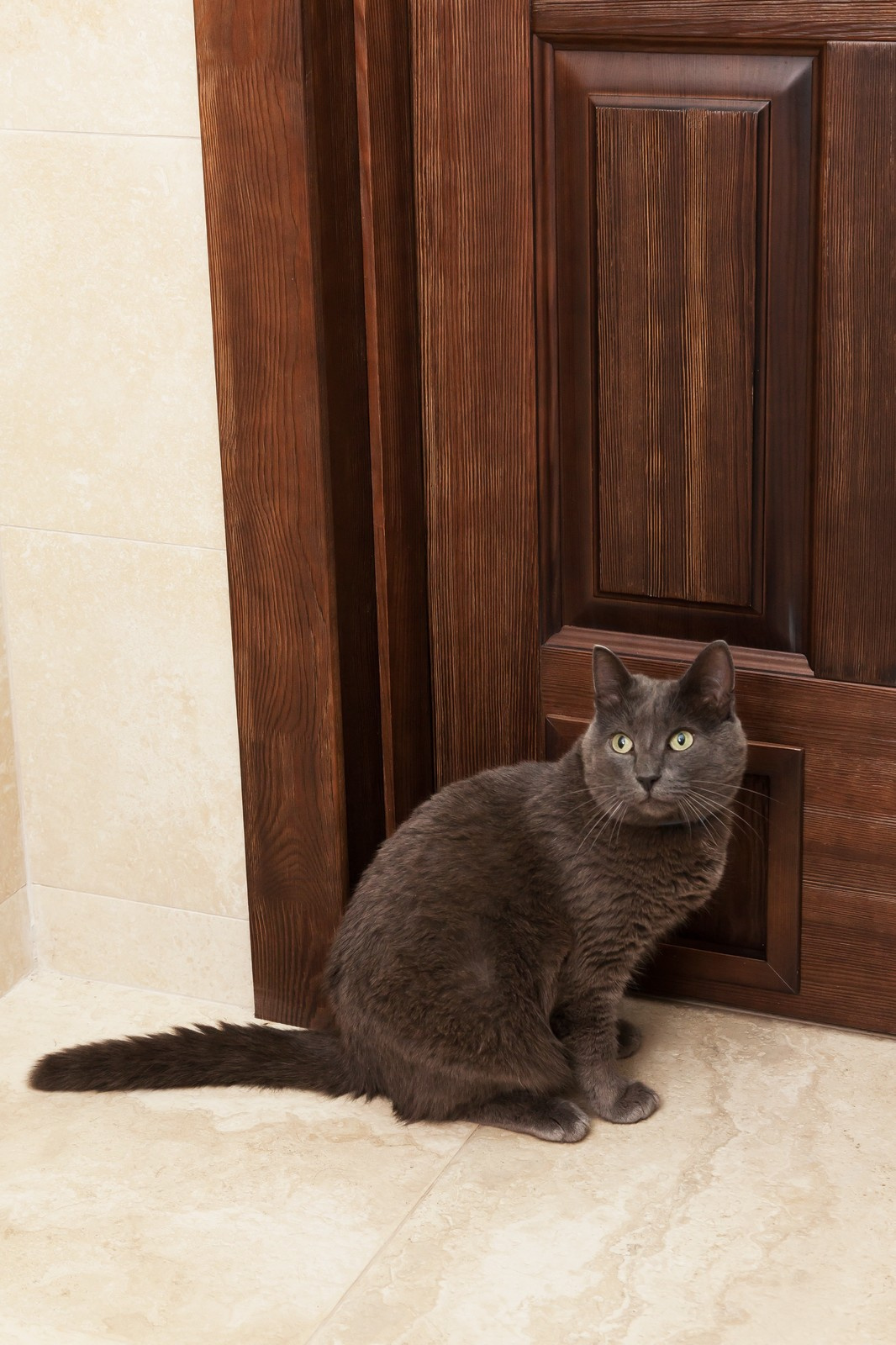 Оттенки дерева