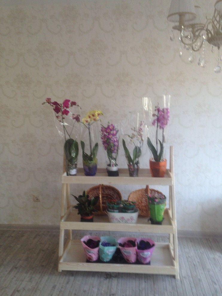 салон цветов и декора для событий  МОНАМУР