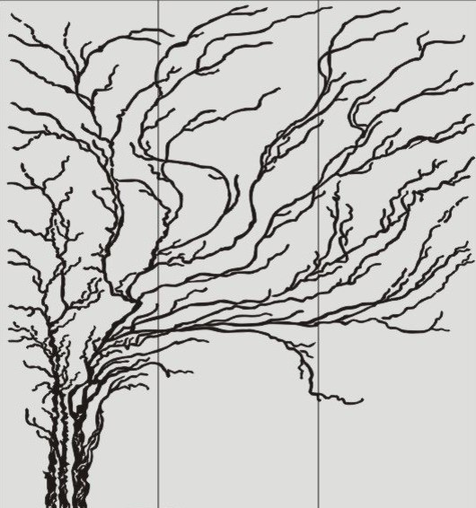 Душевая секция