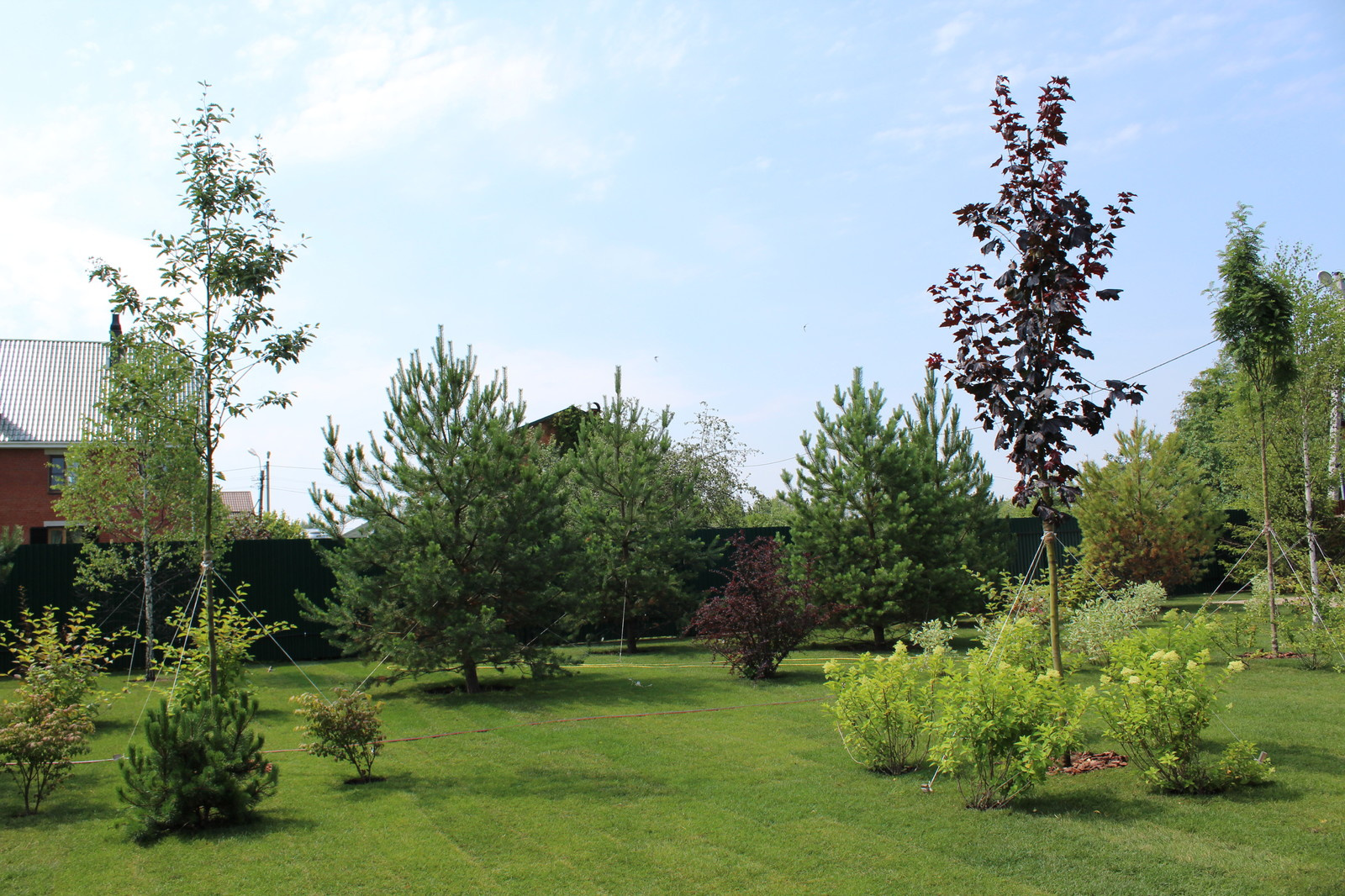 Парк для семьи