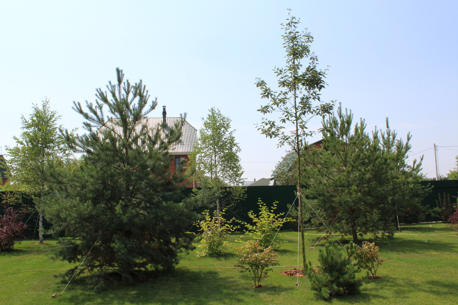 Парк для семьи