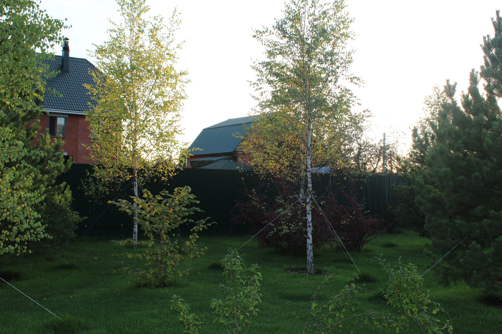 Крупномеры на участке