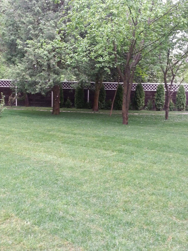 Рулонный газон универсальный в тени