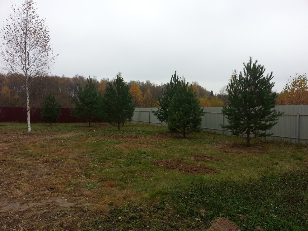 Посадка крупномерных деревьев