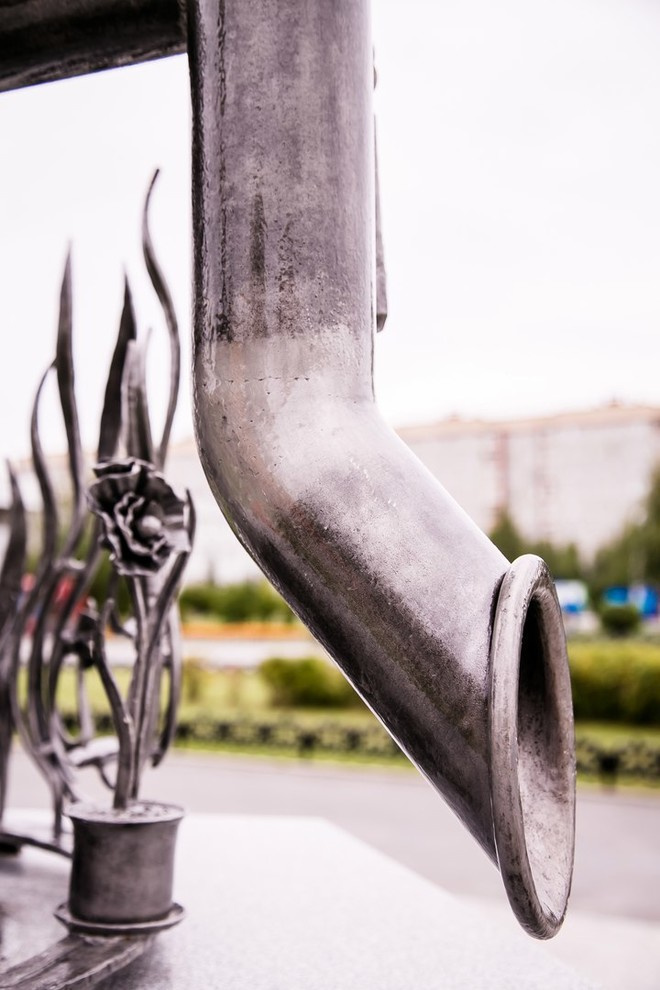 Беличьи угодья