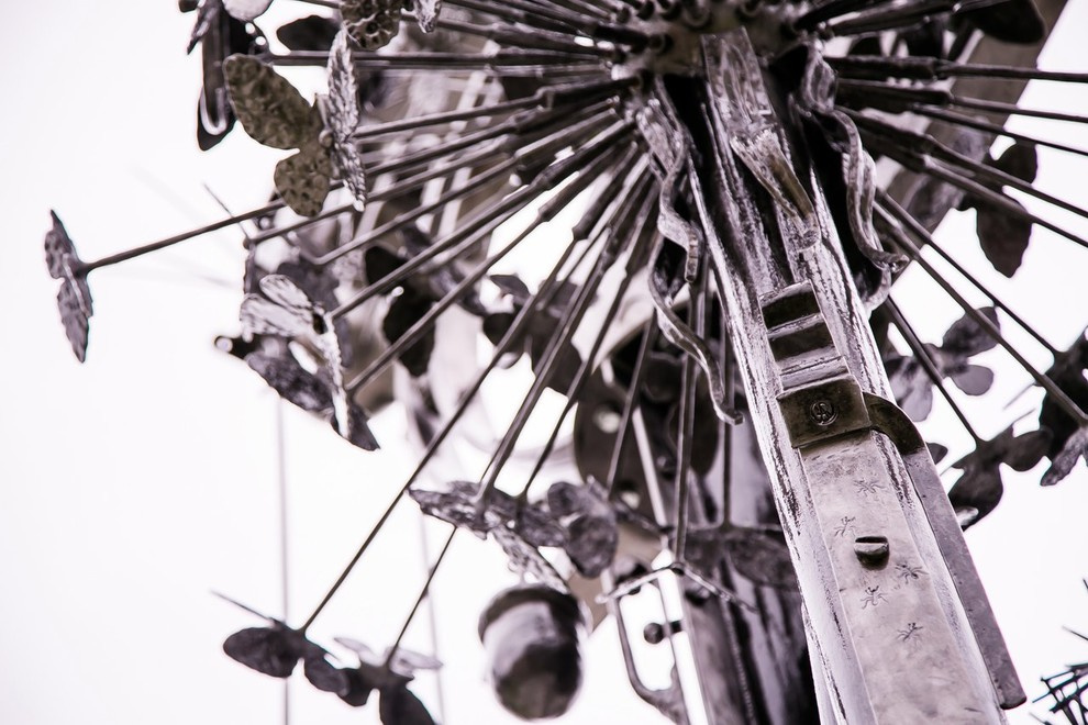 Беличьи угодья